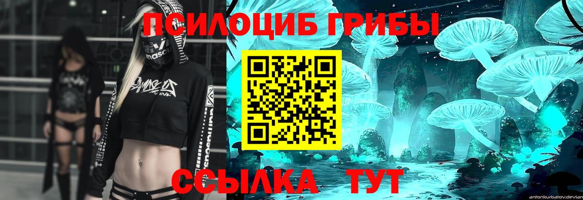Псилоцибиновые грибы прущие грибы  наркошоп  Кимовск  Вход с VPN 