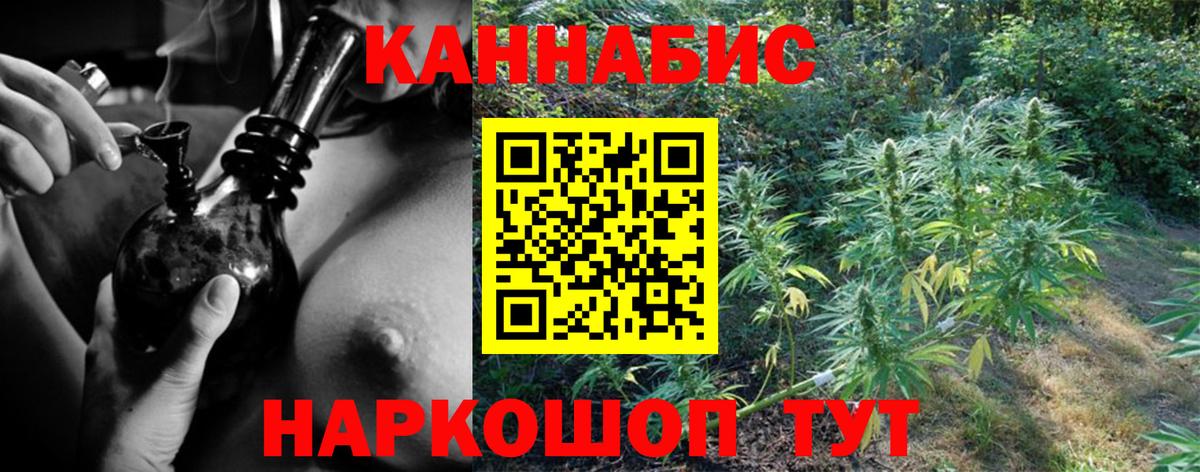 Бошки марихуана тримм  Конопля марихуана  Кимовск  Вход с VPN  Каннабис сатива 